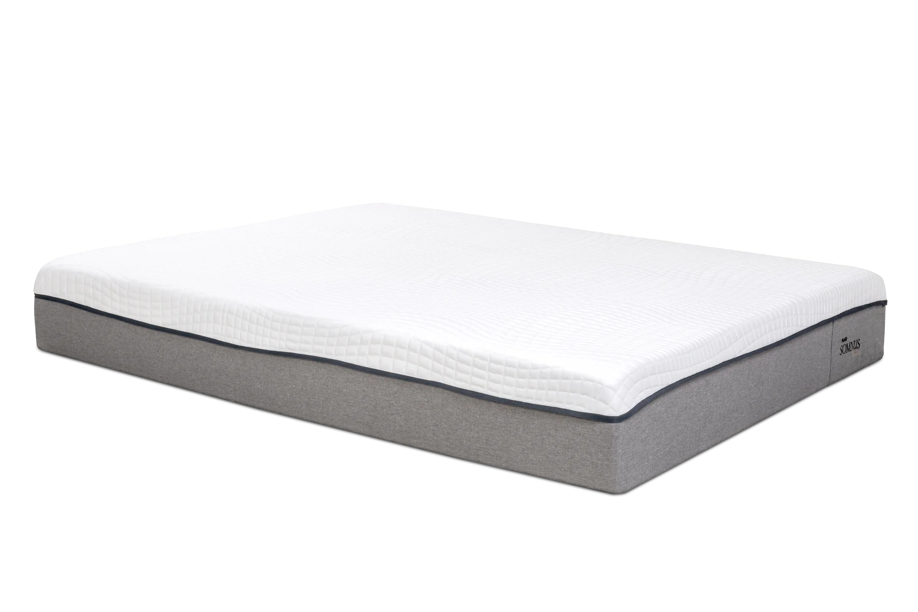Somnus Belga